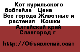 Кот курильского бобтейла › Цена ­ 5 000 - Все города Животные и растения » Кошки   . Алтайский край,Славгород г.